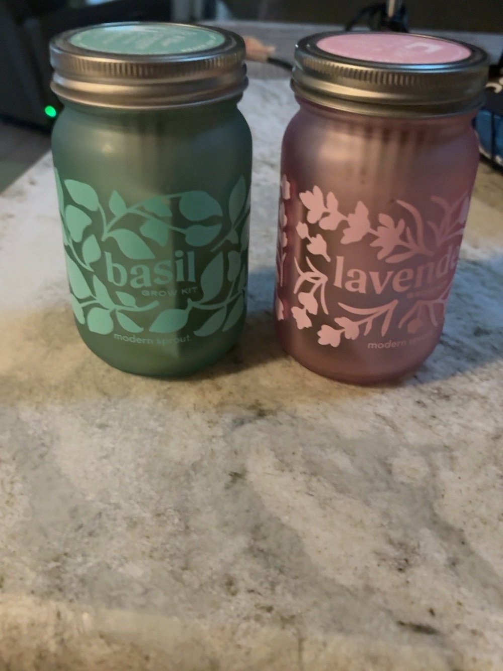 Modern Sprout Basil & Lavender Indoor Garden Grow Kits Set of 2